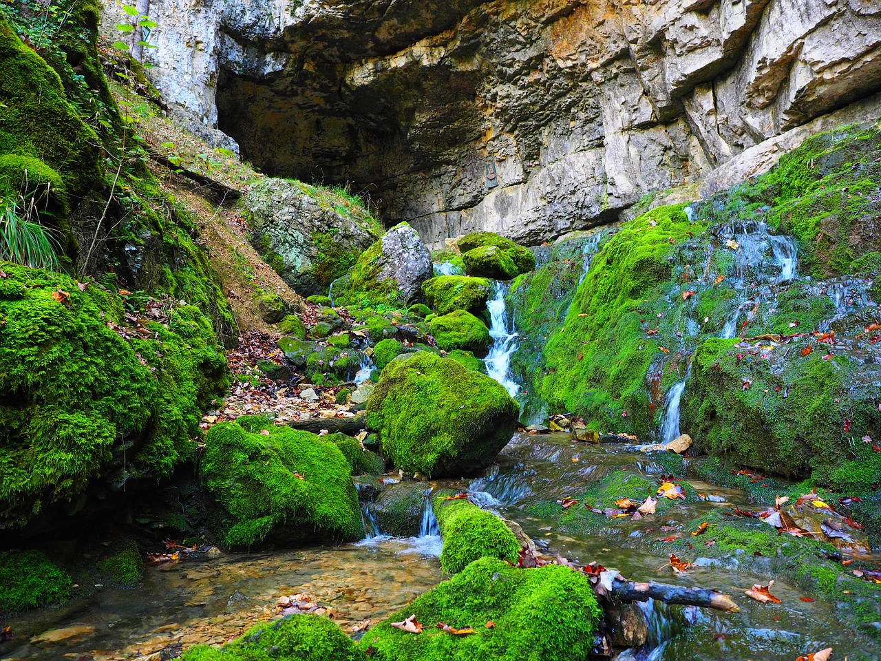 Gua slovakia