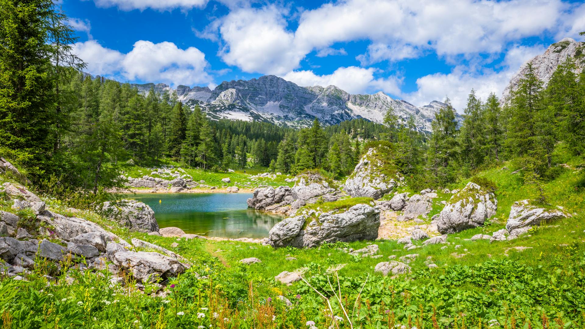 Taman nasional triglav