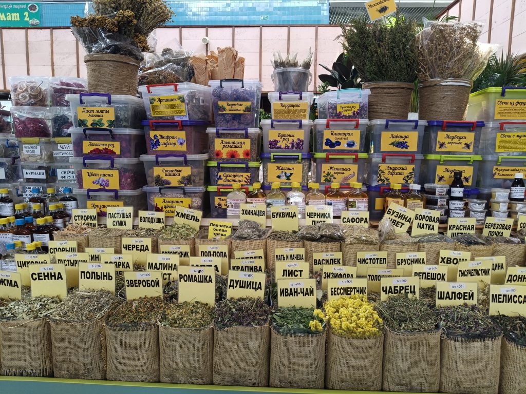 tea wisata kazahstan